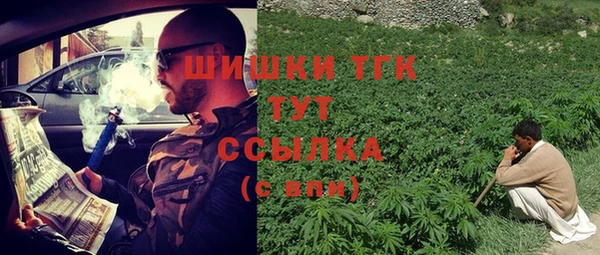 ГАЛЛЮЦИНОГЕННЫЕ ГРИБЫ Яранск