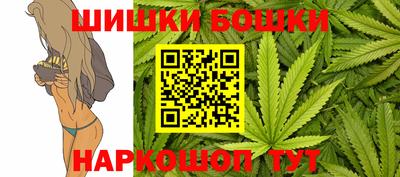ешки Камышлов